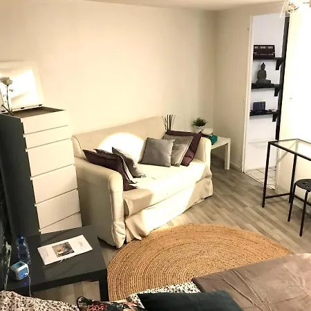 Studio Cosy Vue Saone La Mulatiere