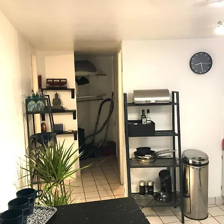 Studio Cosy Vue Saone La Mulatiere
