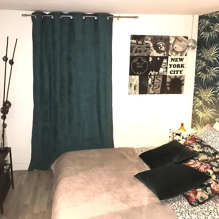Studio Cosy Vue Saone La Mulatiere
