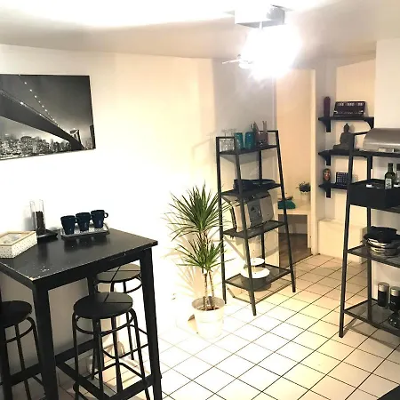 Studio Cosy Vue Saone * La Mulatiere